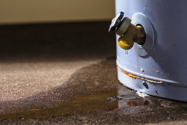Best Local water damage restoration  in Taylor Creek, OH