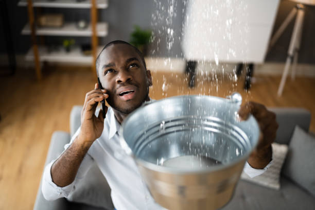 Best Emergency water damage restoration  in Taylor Creek, OH