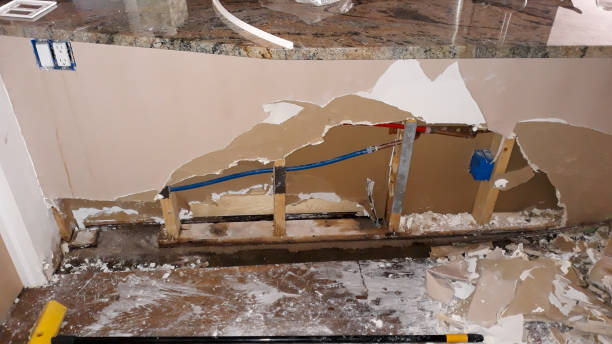 Best Water damage mitigation services  in Taylor Creek, OH