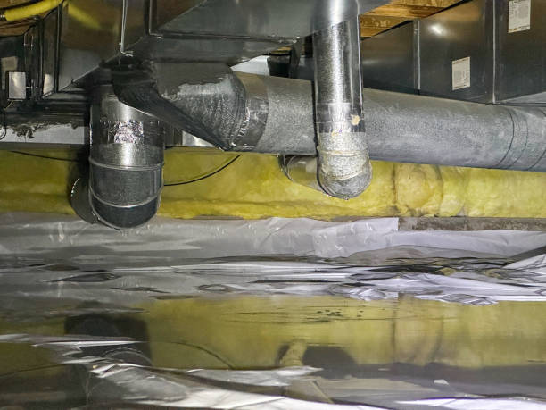 Best Water damage restoration near me  in Taylor Creek, OH
